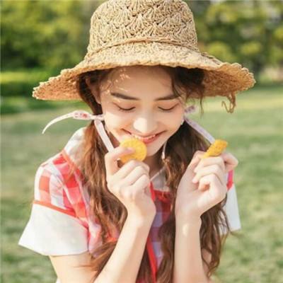 放三国内购破解版下载